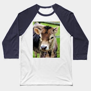 Cows - Calf Closeup Baseball T-Shirt